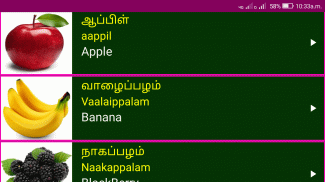 Learn Tamil From English Pro screenshot 4