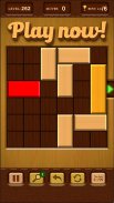 Unblock Red Wood Puzzle 2024 screenshot 10