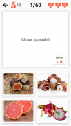 Fruits et légumes,  baies - Le photo-quiz screenshot 2