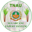 Sugarcane Expert System