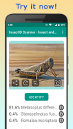 InsectID - Identify Insects screenshot 3