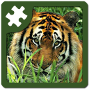 Wild animals puzzle: Jigsaw Icon