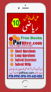 Math 10 Solved Urdu Medium - pdfhive.com screenshot 2