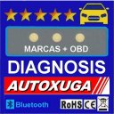 Diagnosis Faults Cars OBD2