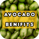 Avocado Benefits Icon