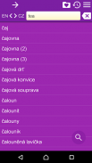 English Czech Dictionary screenshot 3