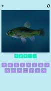 Guess the fish screenshot 3