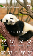 Cute Wallpaper Napping Panda Theme screenshot 4