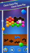 Block Hexa Puzzle screenshot 2