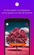Hermosos Fondos de Pantalla 4K screenshot 13