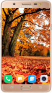 Autumn Wallpaper HD screenshot 15