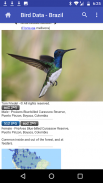 Bird Data - Brazil screenshot 0