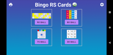 Bingo RS Cards screenshot 15