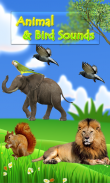 Birds & Animal Sounds screenshot 0