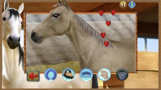 Western Horse: Querido Caballo screenshot 8