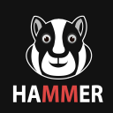 Hammer Hamtser VPN : Proxy icon