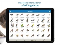 NABU Vogelwelt Vögel Bestimmen screenshot 3