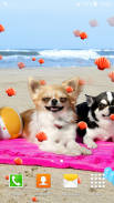 Chihuahuas Live Wallpapers screenshot 5