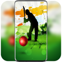 Cricket Bat Wallpaper Icon