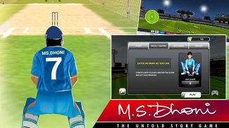 MSD: World Cricket Bash screenshot 1