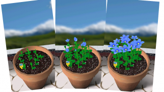 Flower Garden screenshot 2