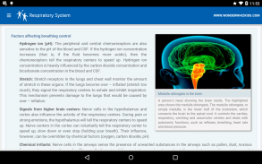 Respiratory System screenshot 1