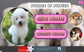 Puzzles of Puppies Free screenshot 8
