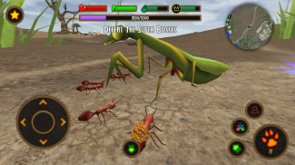 Fire Ant Simulator screenshot 4