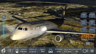 Pro Flight Simulator NY Free screenshot 1