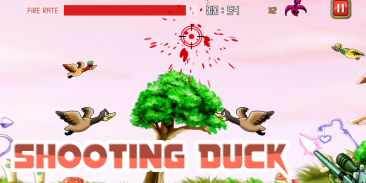 Shooting Duck screenshot 2