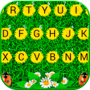 Sunlight Summer Grass Keyboard Icon