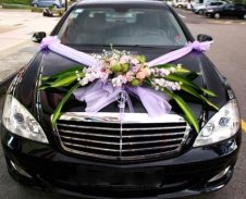 Wedding Car Decoration screenshot 4