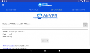 Eddie - AirVPN official OpenVPN GUI screenshot 14