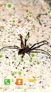 nhện hình nền sống screenshot 1
