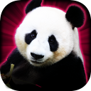 Слоты Лаки Panda казино слоты Icon