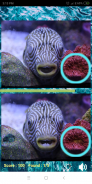 Find the differences: Sea Creatures screenshot 3