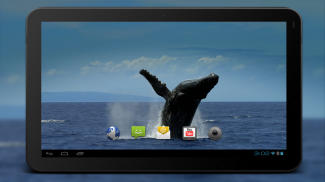 4K Whales Video Live Wallpaper screenshot 4