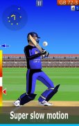 Smashing Cricket: cricket game screenshot 10