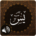 Surah Yaseen Audio