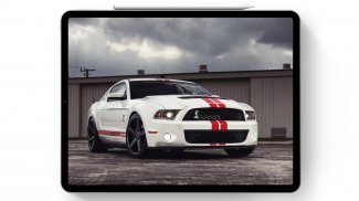 Wallpaper For Cool Mustang Shelby Fans screenshot 6