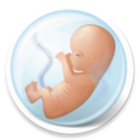 SANTA NICU Icon