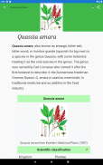 Medicinal Plants & Herbs Guide screenshot 12