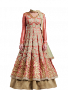 Anarkali Dress Photo Suit screenshot 3