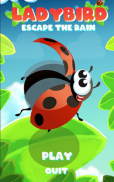 Ladybird Escape the rain screenshot 6