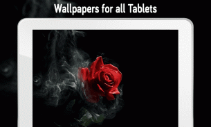 Rose Wallpaper (4k) screenshot 7