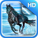 Horse Live Wallpaper HD