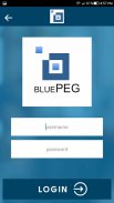 Blue Peg screenshot 2