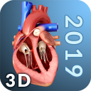 Heart Anatomy Pro. icon