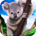 Koala Family Simulator - try Australian wildlife!