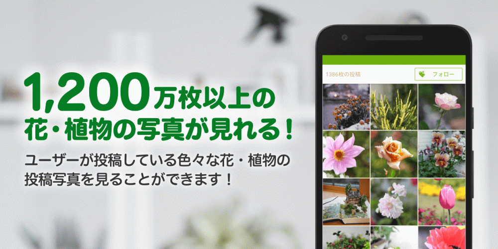 Greensnap 植物 花の名前が判る写真共有アプリ 2 19 0 Preuzmite Apk Datoteku Za Android Aptoide